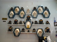 Baani Thani